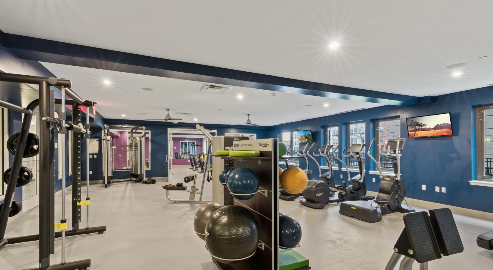 Get your workout on a gym with exercise equipment